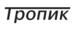 Тропик
