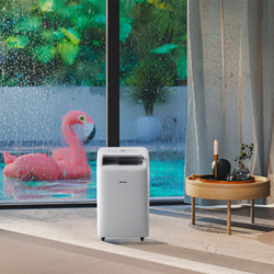 Мобильный кондиционер Hisense AP-09CW4GNCS00